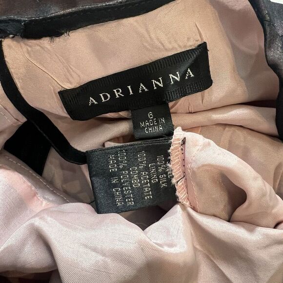 Adrianna Silk Midi Dress Size 6 Lace Y2K Whimsigoth Event Prom Coquette Feminine - Picture 4 of 8